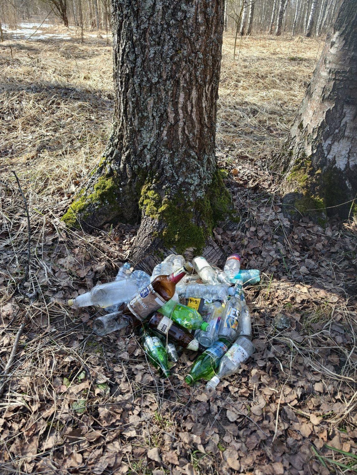 В Кострому приехал Чистомэн и навел шороху