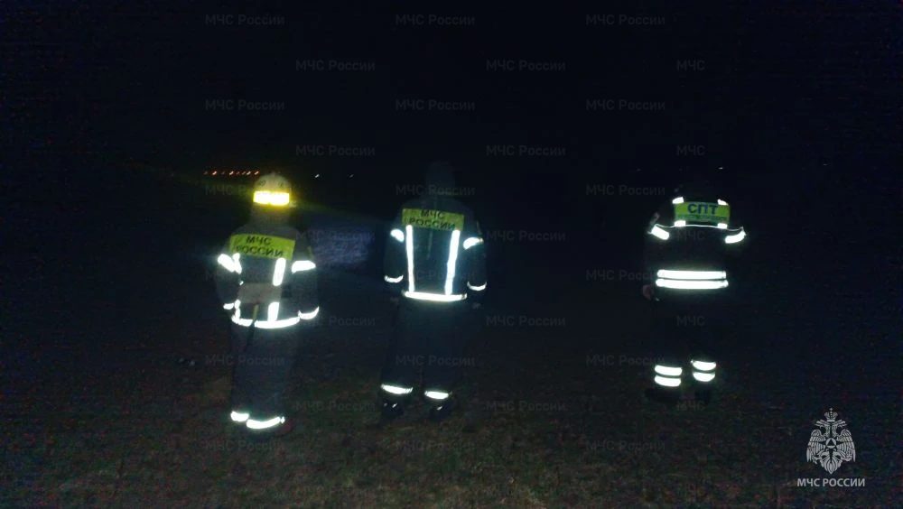 Пожар, охвативший поля в Коряково, удалось ликвидировать