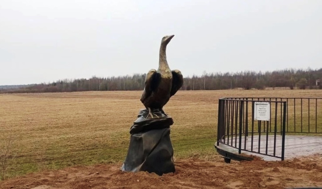 В Кологриве Костромской области пришили голову гусю — и он как новенький