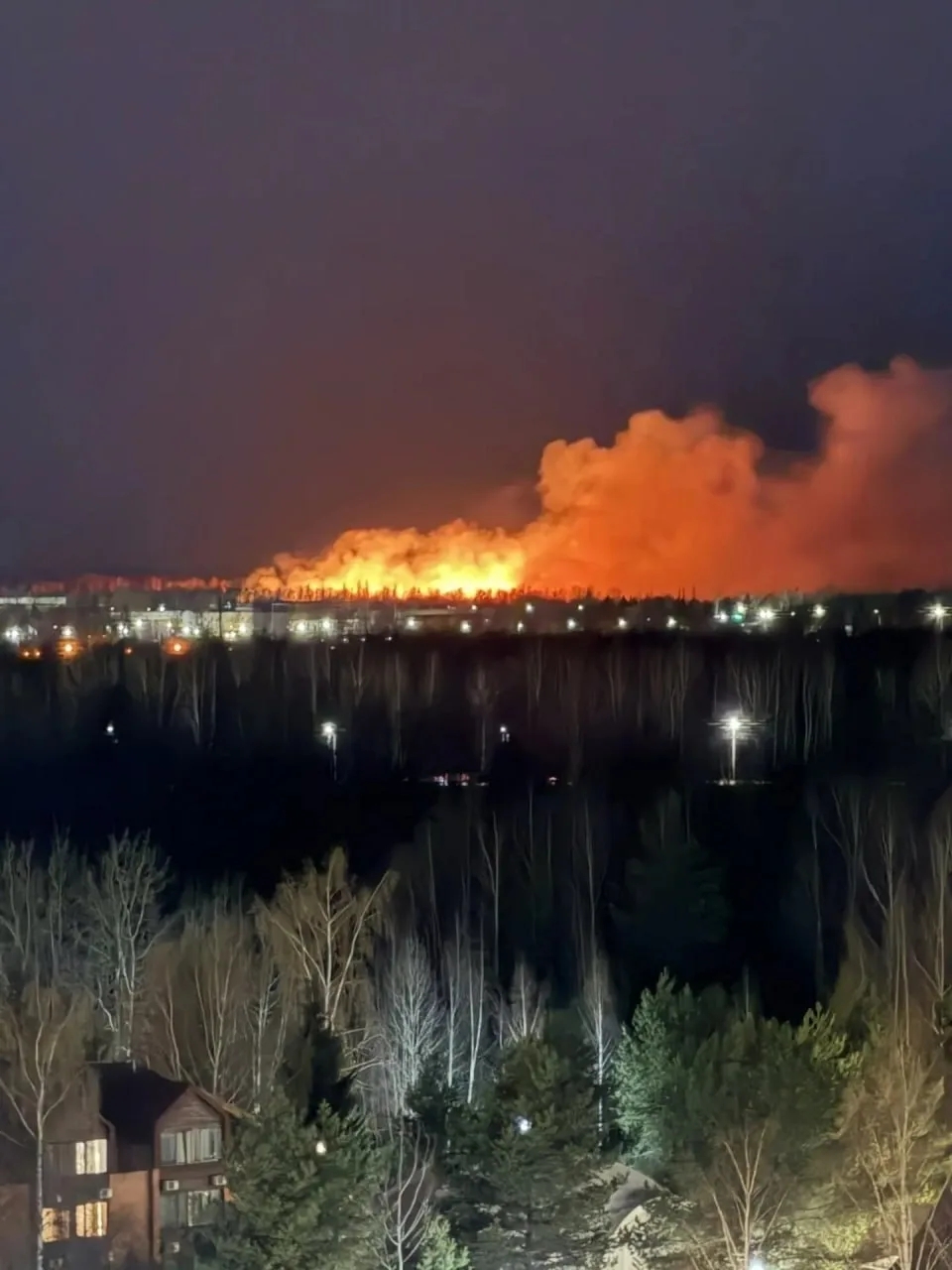 Пожар в Заволжье: огонь приближается к костромскому приюту «Белый Бим»