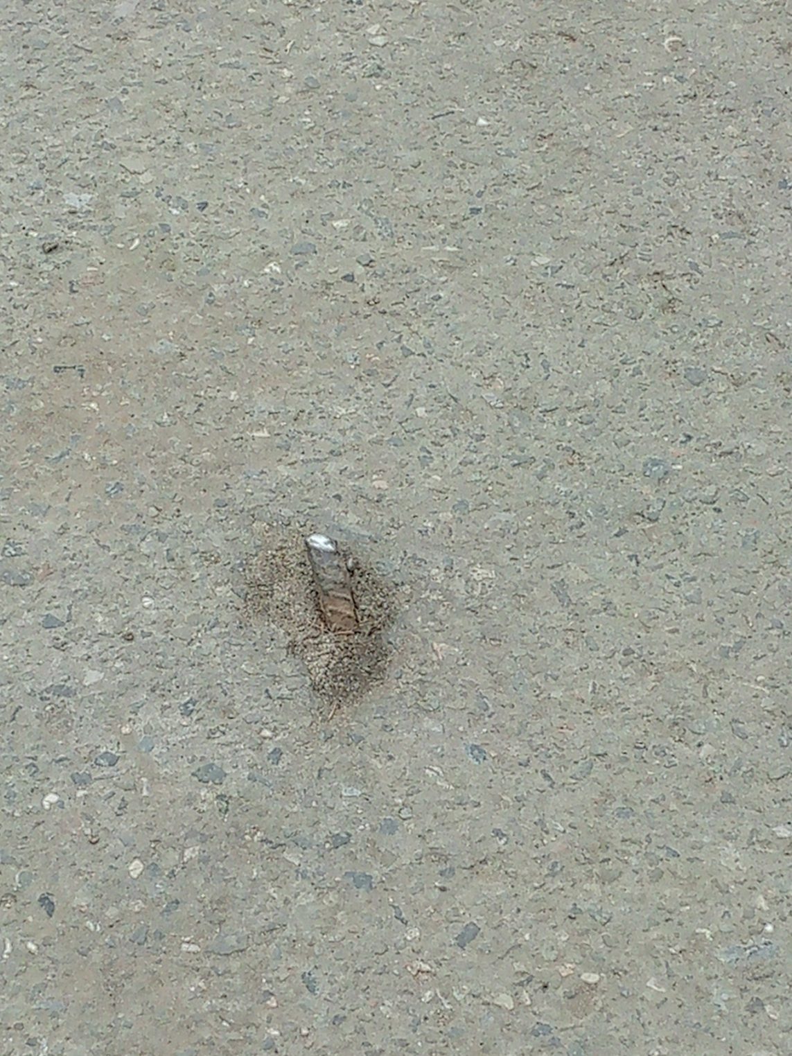 В Шарье сквозь асфальт пробился железный подснежник