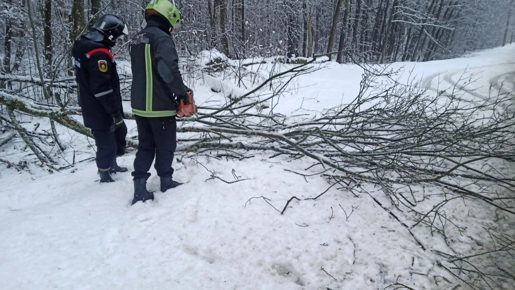 Ураган ломал деревья и крушил автомобили в Костроме