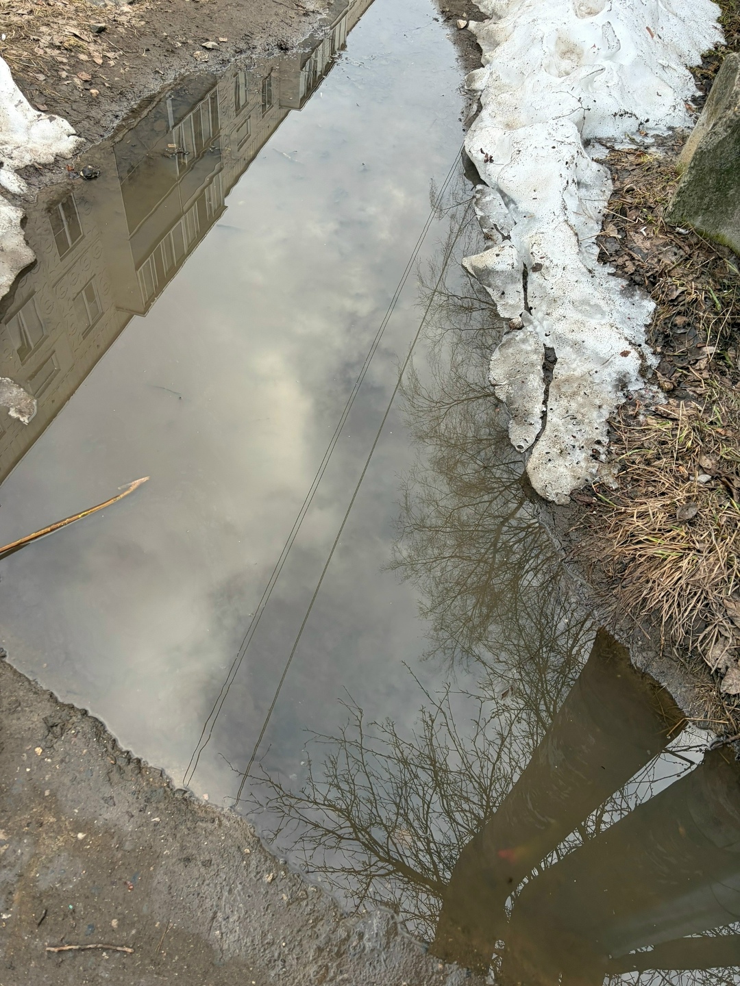 Костромской детский сад тонет в нечистотах