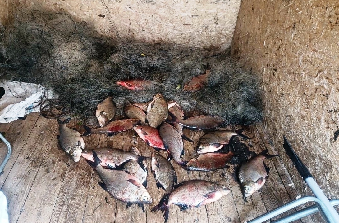 Ивановские браконьеры приехали за лещами в Костромскую область