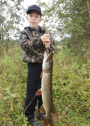 Мой активный ребёнок