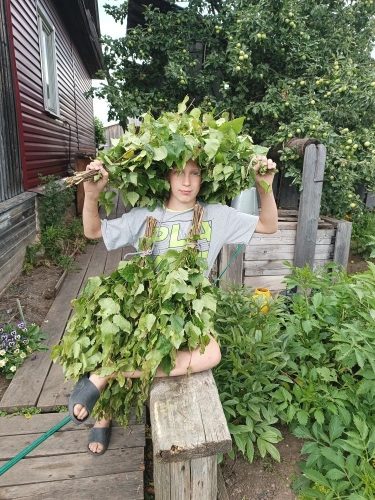 Мой активный ребёнок