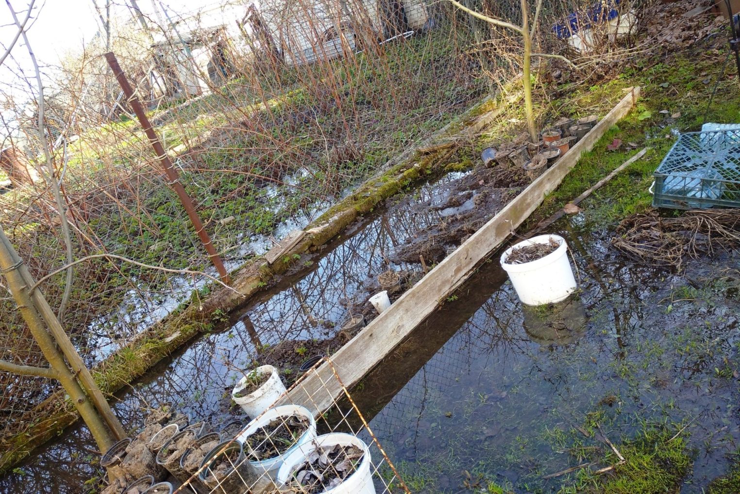 В Костроме потекло г***, но не по трубам