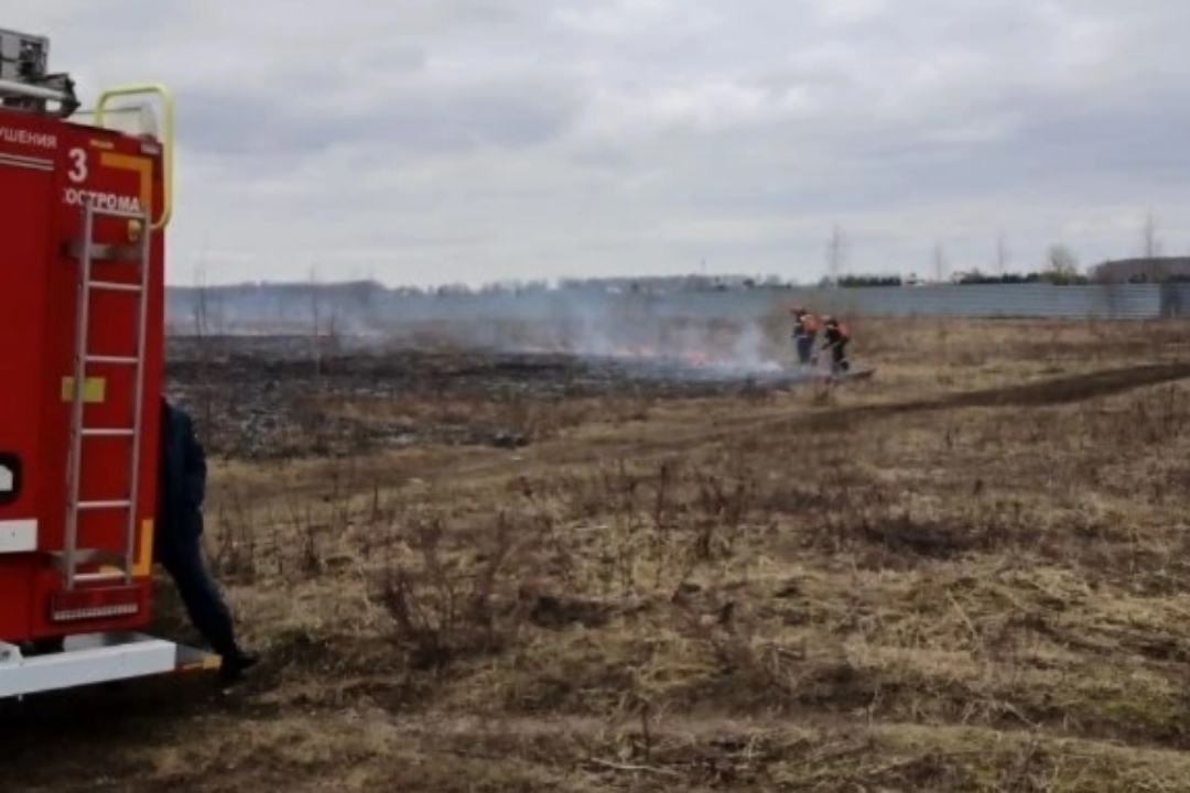 В Костроме за сутки трижды тушили горящую траву