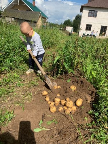 Мой активный ребёнок