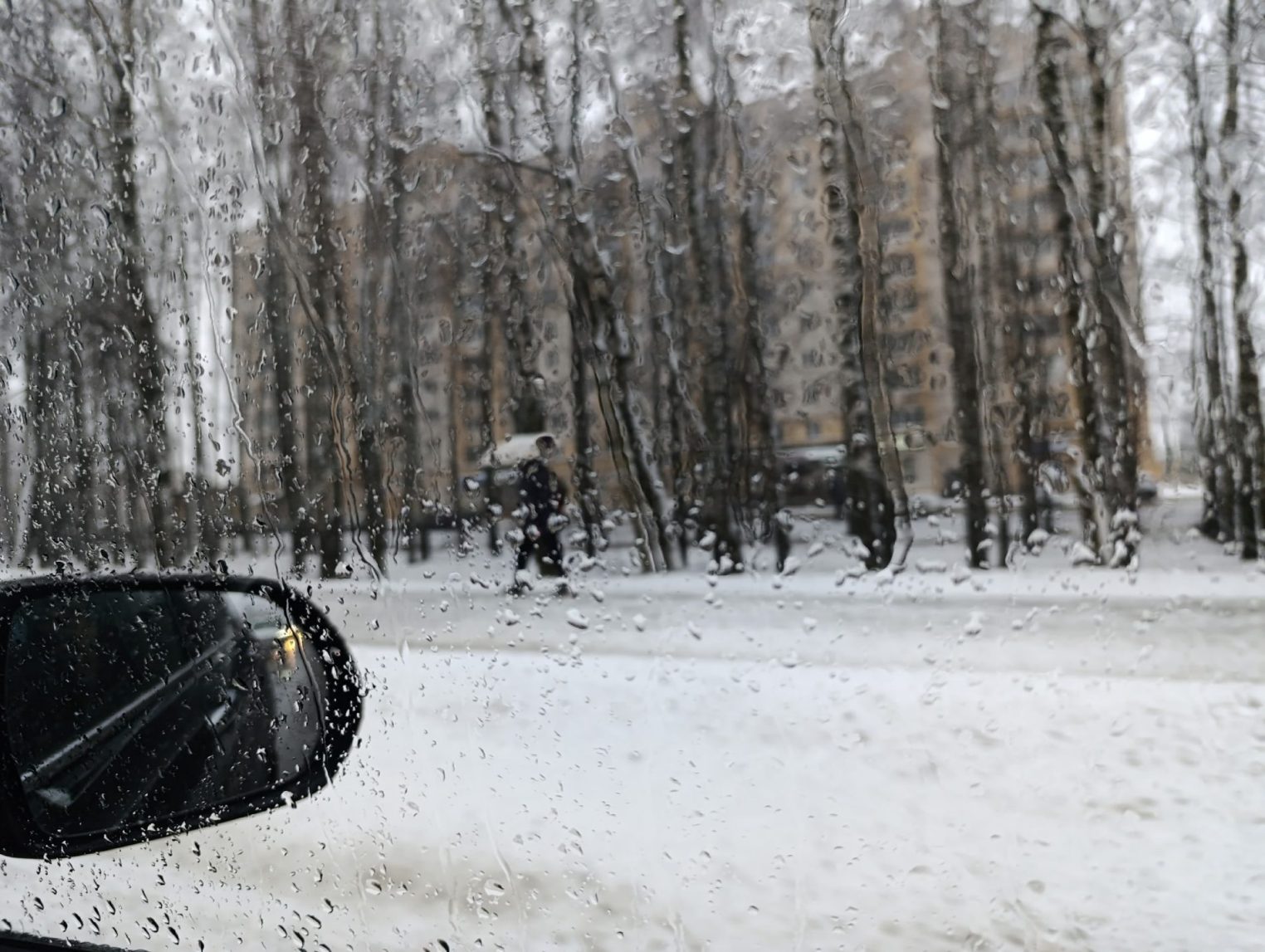 Снежный апокалипсис добрался и до Костромы