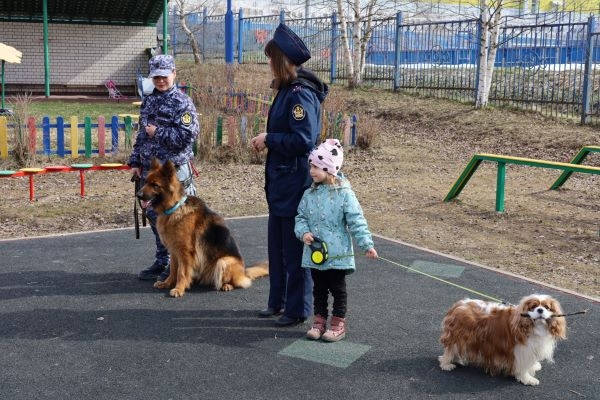 Костромских малышей познакомили со служебными собаками