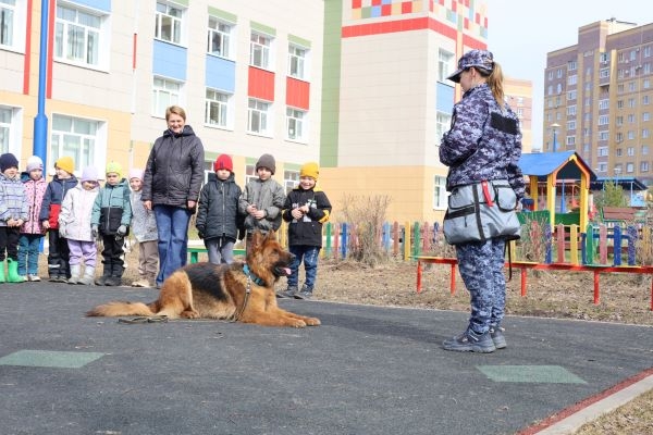 Костромских малышей познакомили со служебными собаками