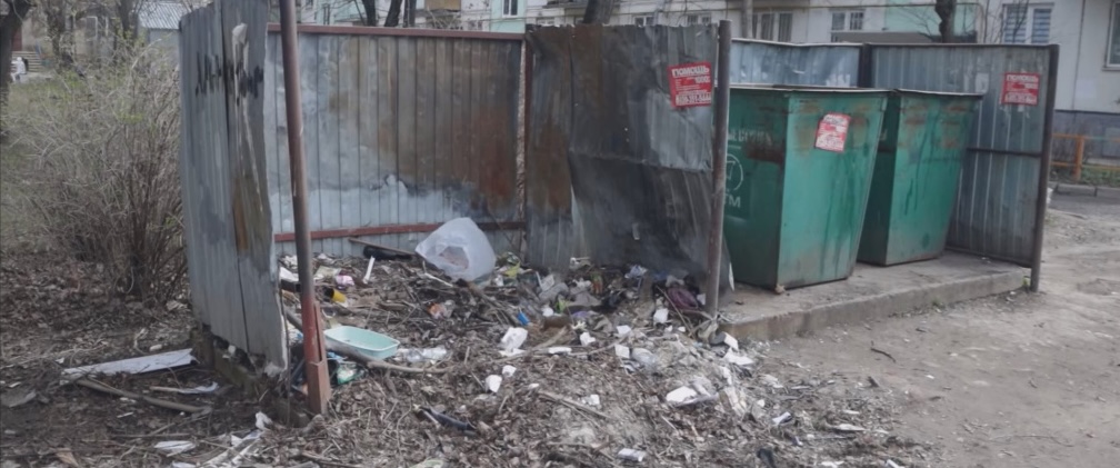 Власти в Костроме нашли мусор и виноватых