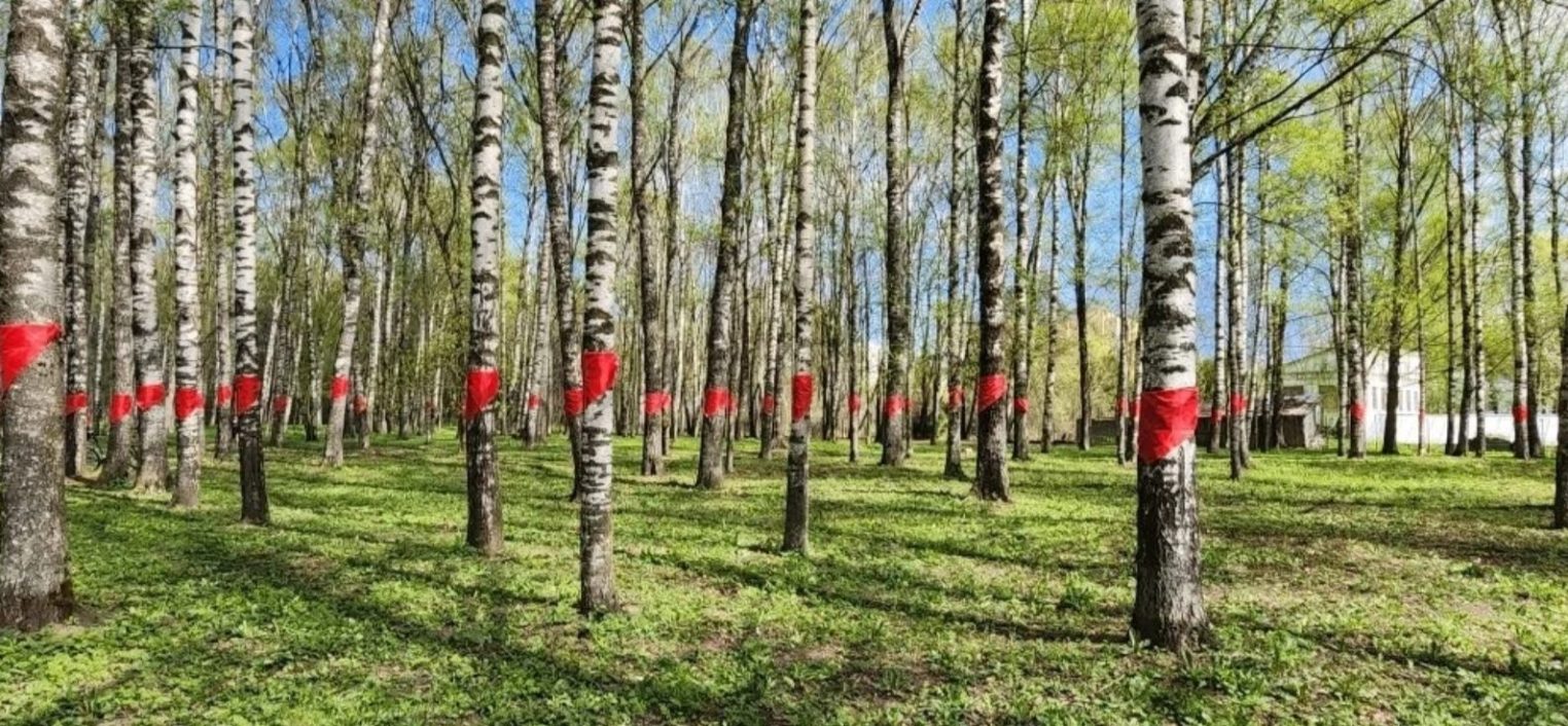 В Костроме почтили память погибших детей блокадного Ленинграда