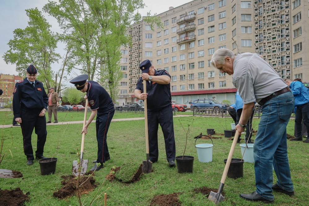 Кострому начали активно озеленять после зимы
