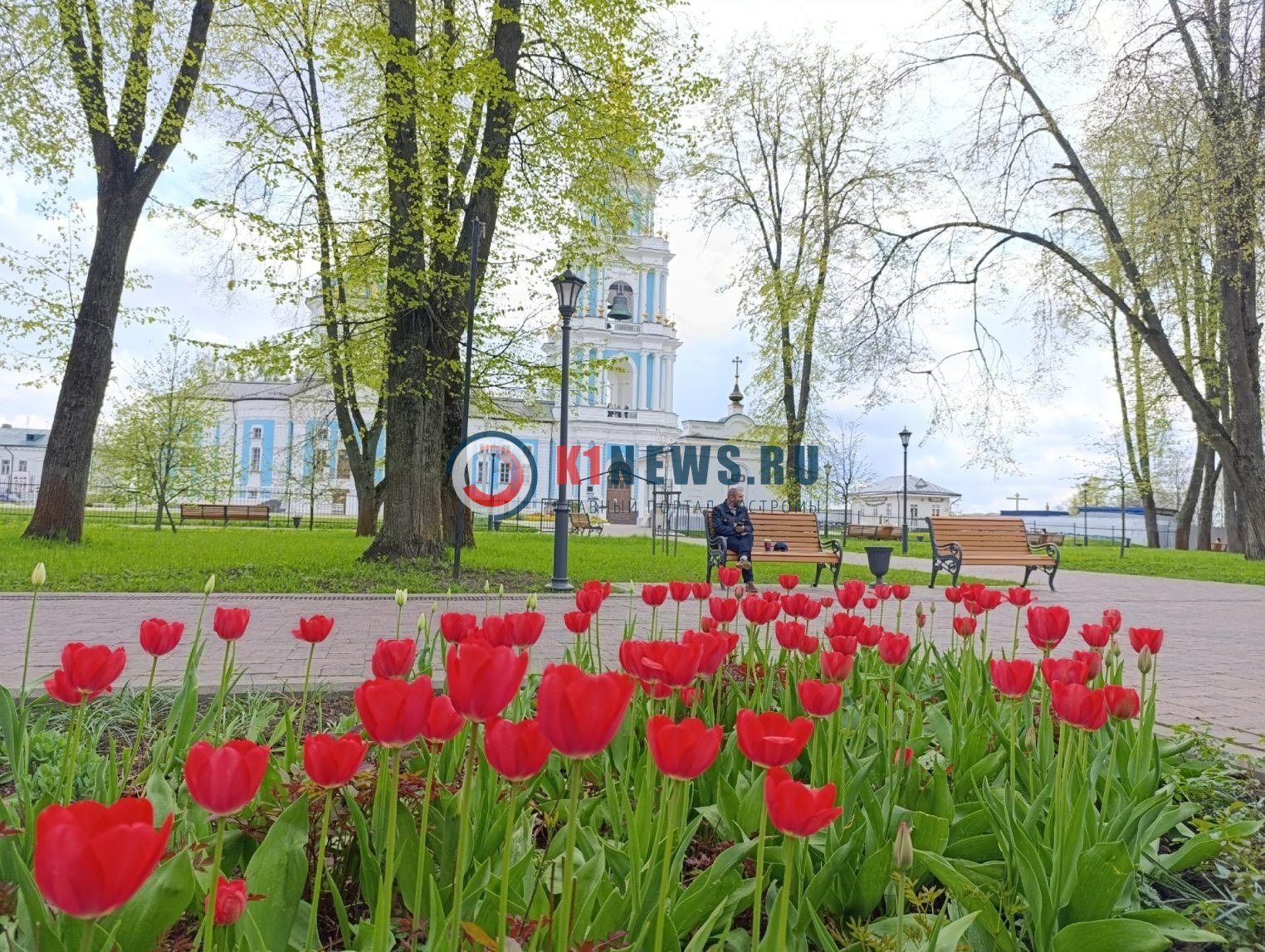 Кострому превращают в цветочный город