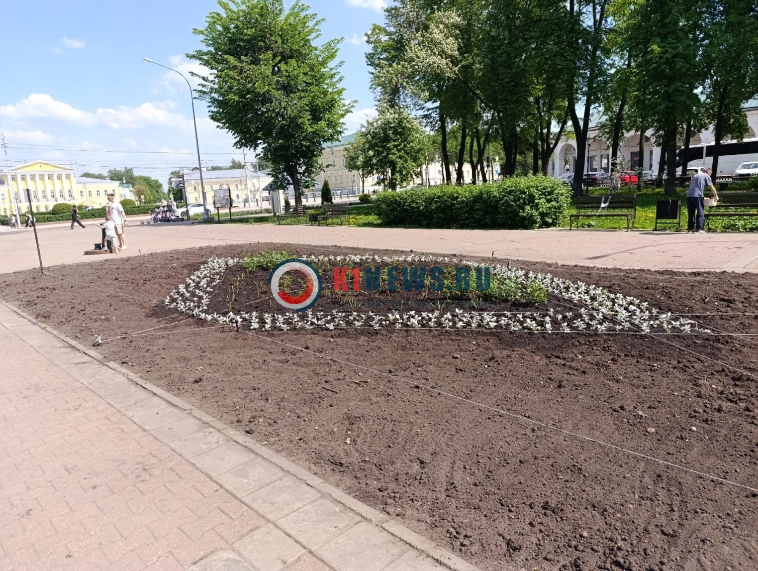 Кострому превращают в цветочный город