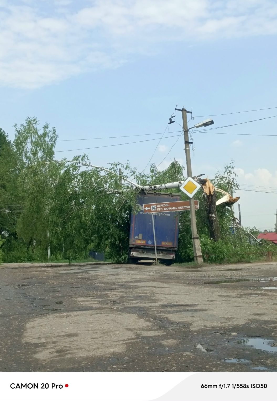 Под Костромой гроза повалила дерево прямо на фуру