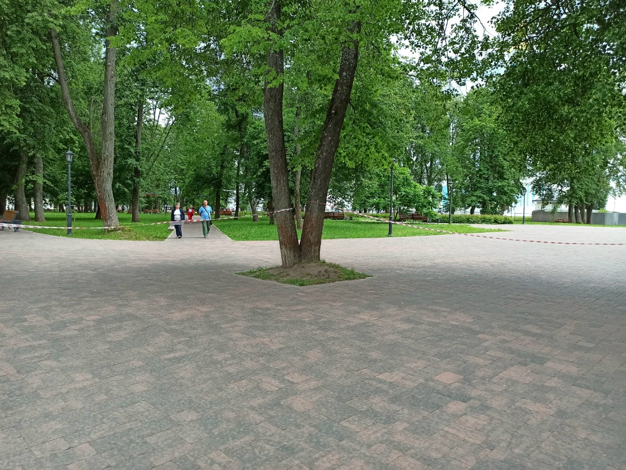 Костромские клещи лютуют пуще прежнего