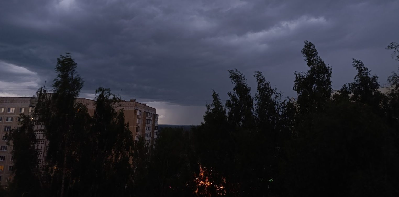 Май сошел с ума: в Костромской области ожидаются ночные заморозки