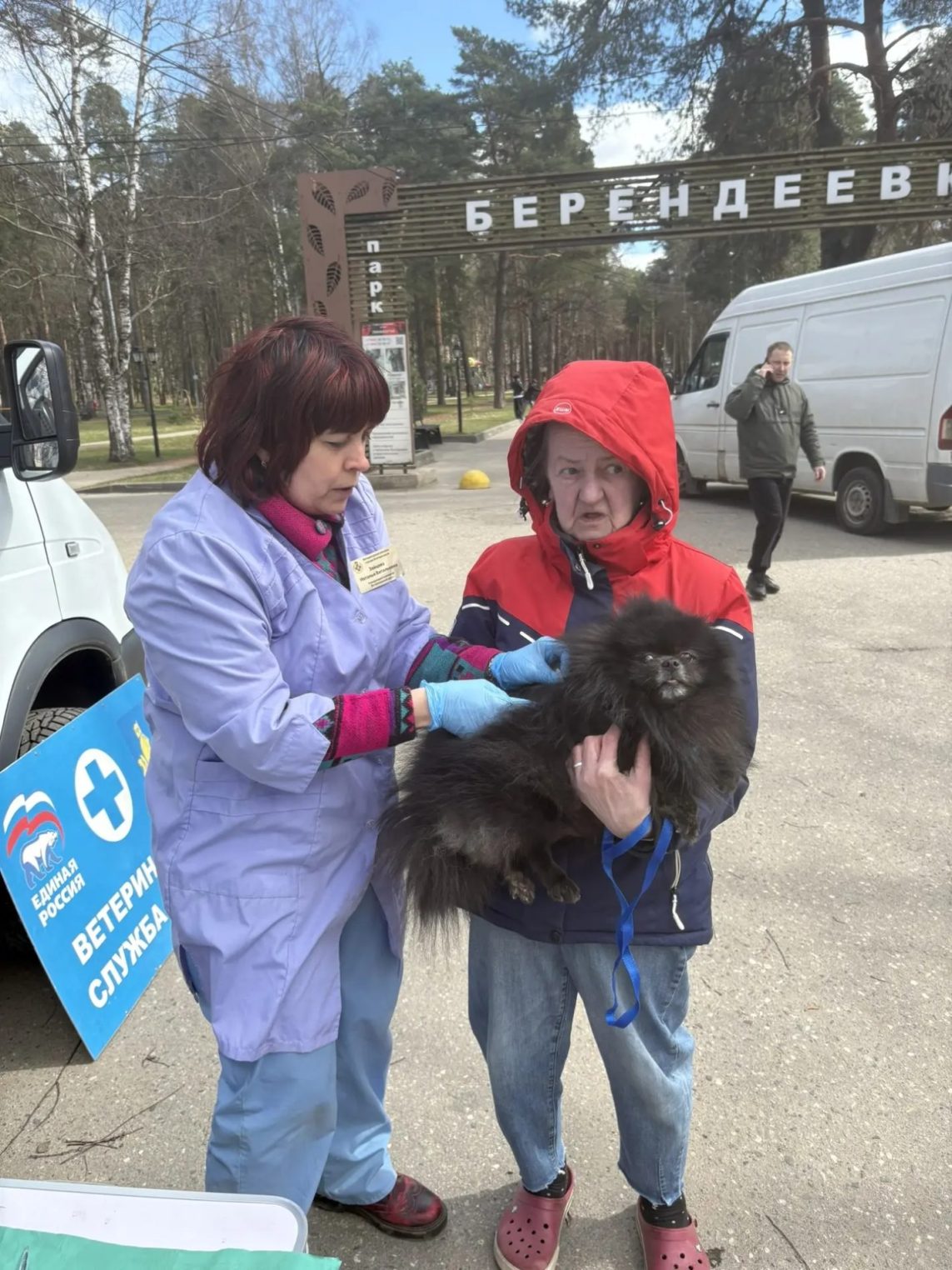 Костромичи смогут бесплатно привить питомцев от бешенства