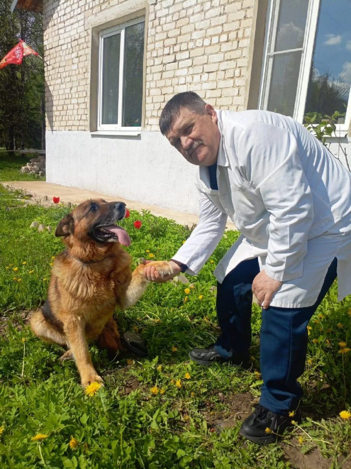 Владимир Путин присвоил костромскому ветеринару звание заслуженного врача России