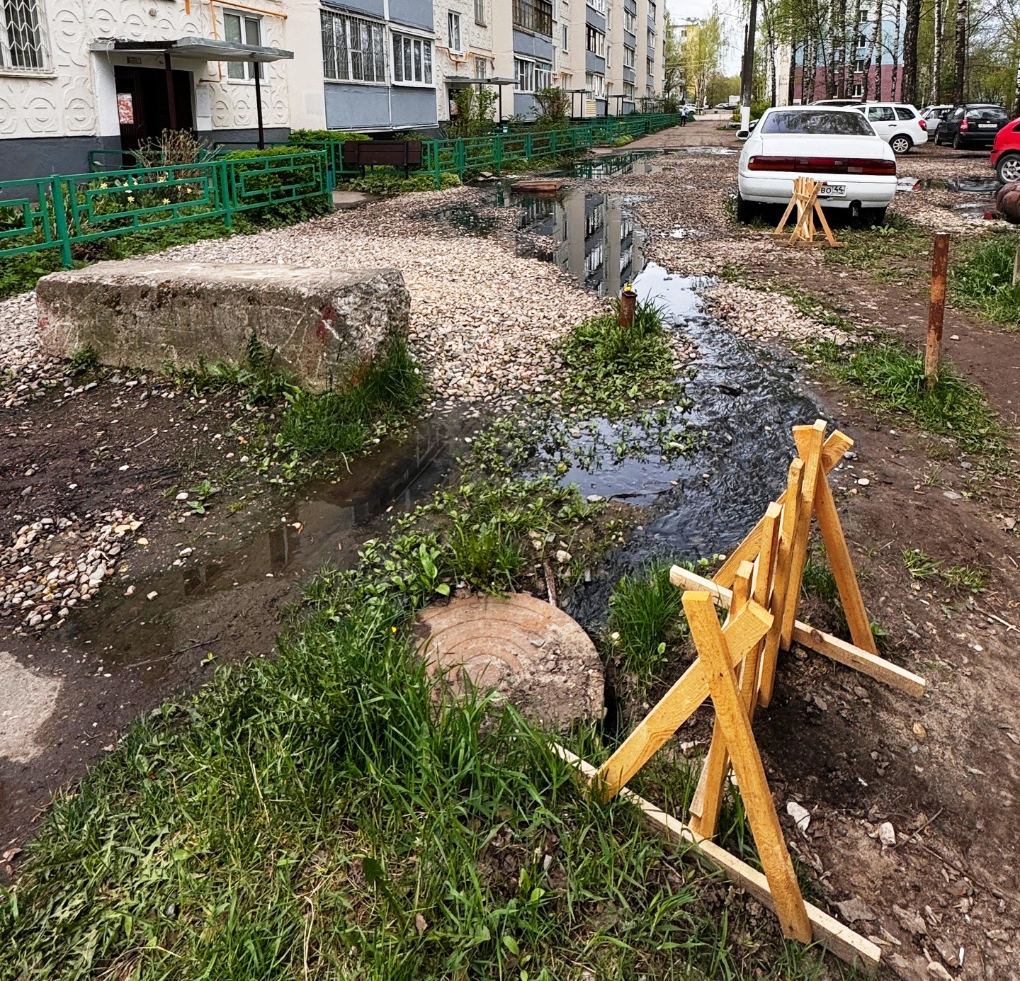 Костромичи: «Детский сад в Костроме утопает в канализации, дети ходят по нечистотам»