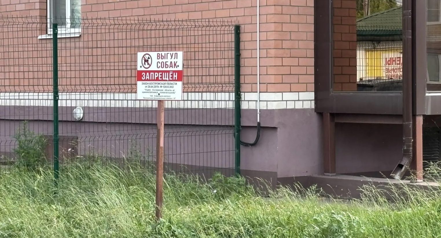 Венецианских собак в Костроме облачили в намордники и заставили убрать за собой