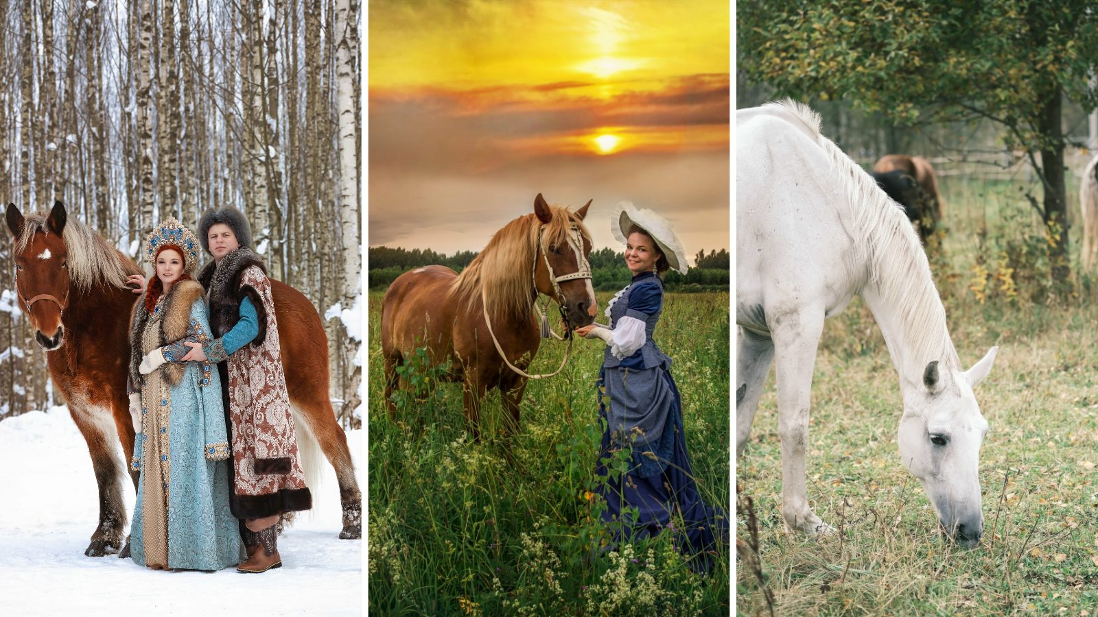 Конный клуб Royal Horse