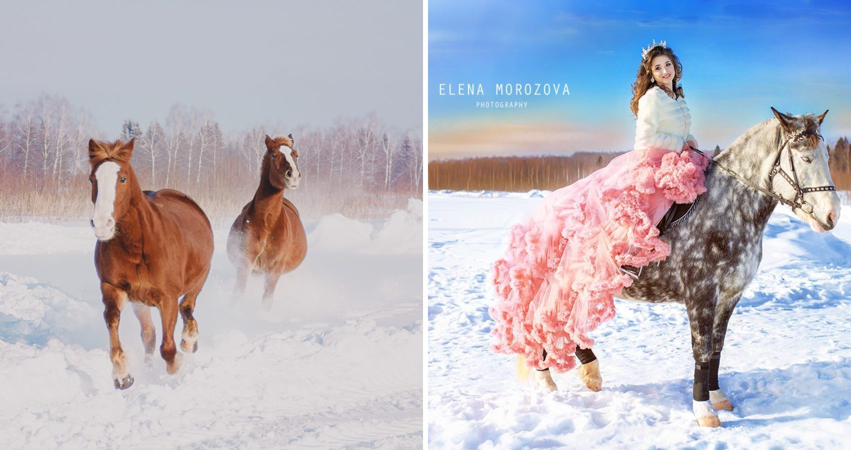 Свадебная фотосессия с лошадьми Royal Horse