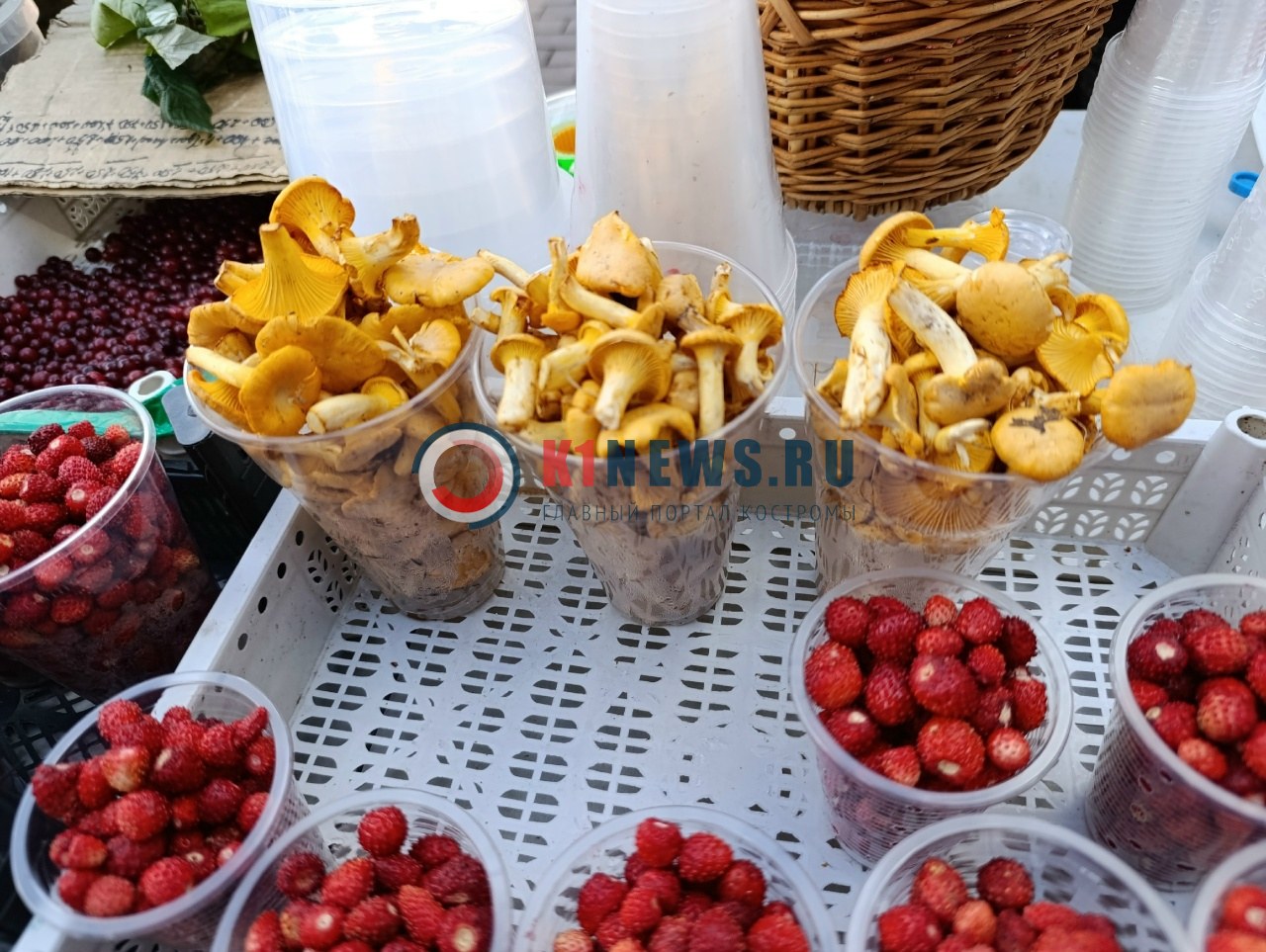 Кусачие лисички и негуманная земляника появились на рынке Костромы