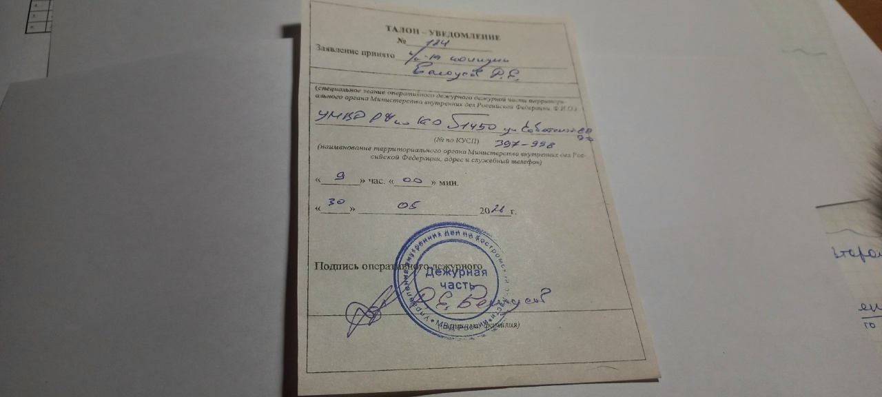 Гвоздика ожила: как чувствует себя собака, в голову которой забили огромный гвоздь в Костроме