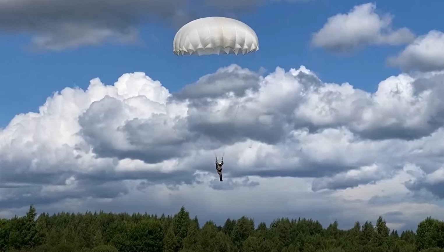 30 юных костромичей упали с неба