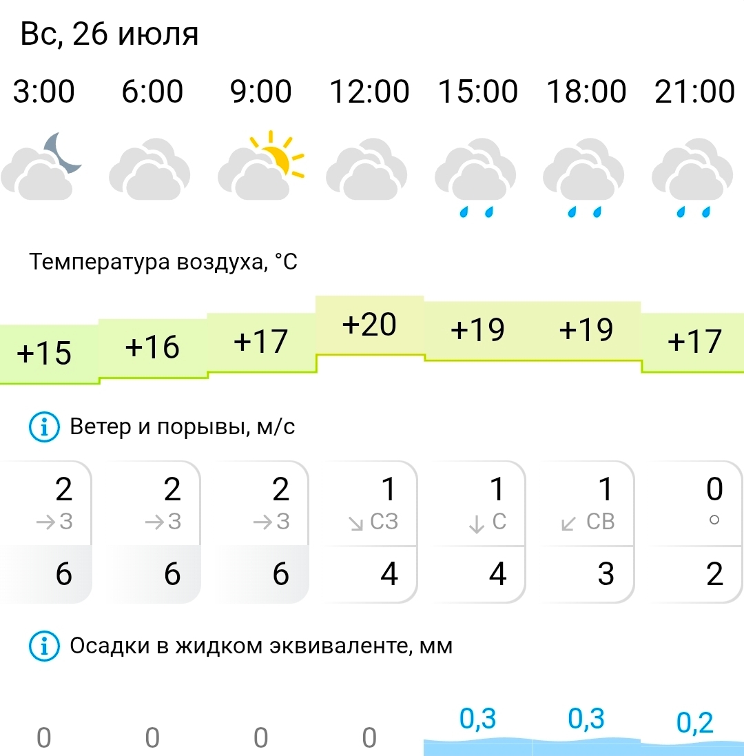 Синоптики сулят Костроме мокрые выходные