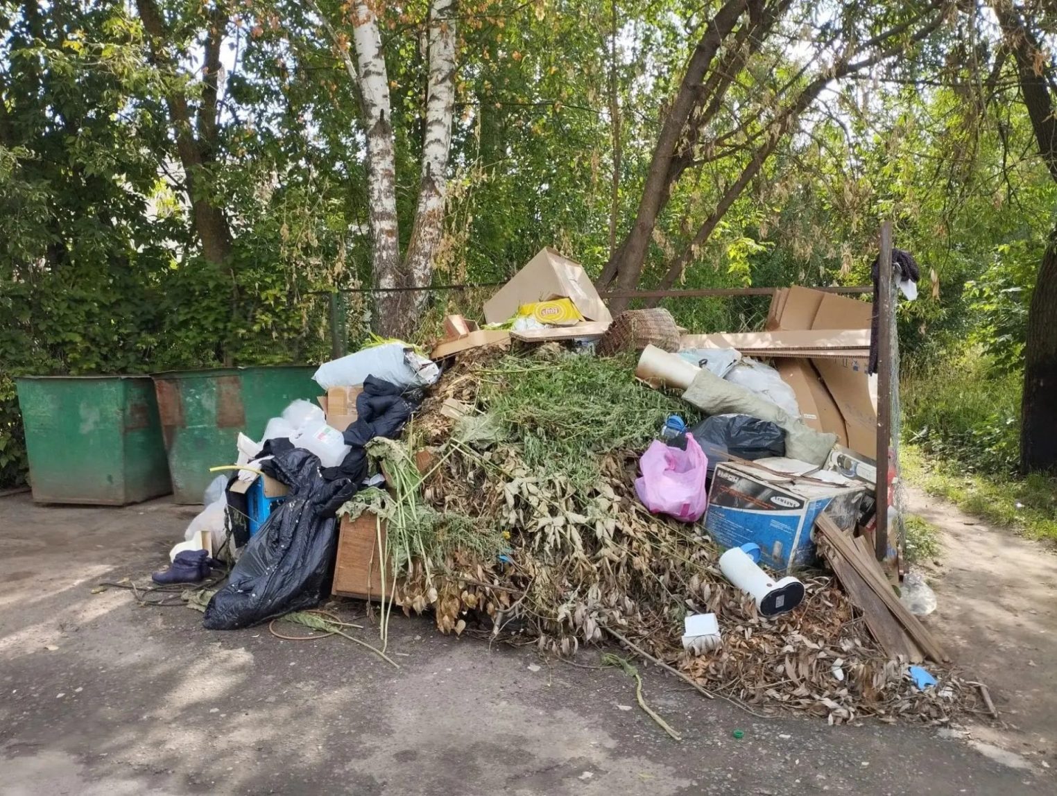 В Костроме регоператору дали сутки на очистку контейнерных площадок от мусора