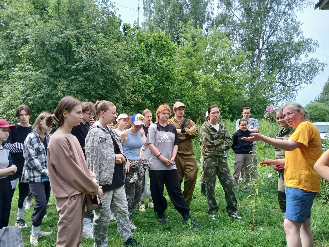 Костромские студенты собрали лечебную траву для бойцов