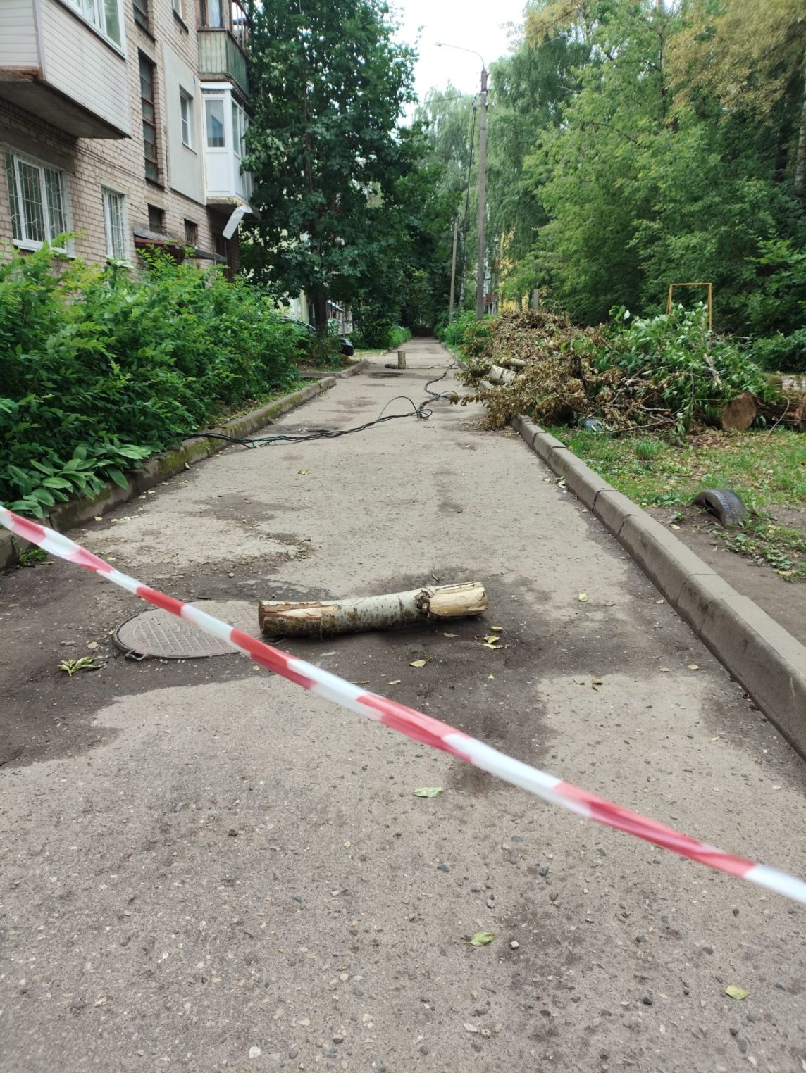 Дерево рухнуло на дом и оборвало провода: последствия непогоды в Костроме