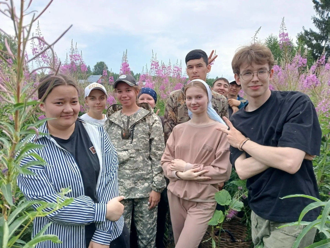 Костромские студенты собрали лечебную траву для бойцов