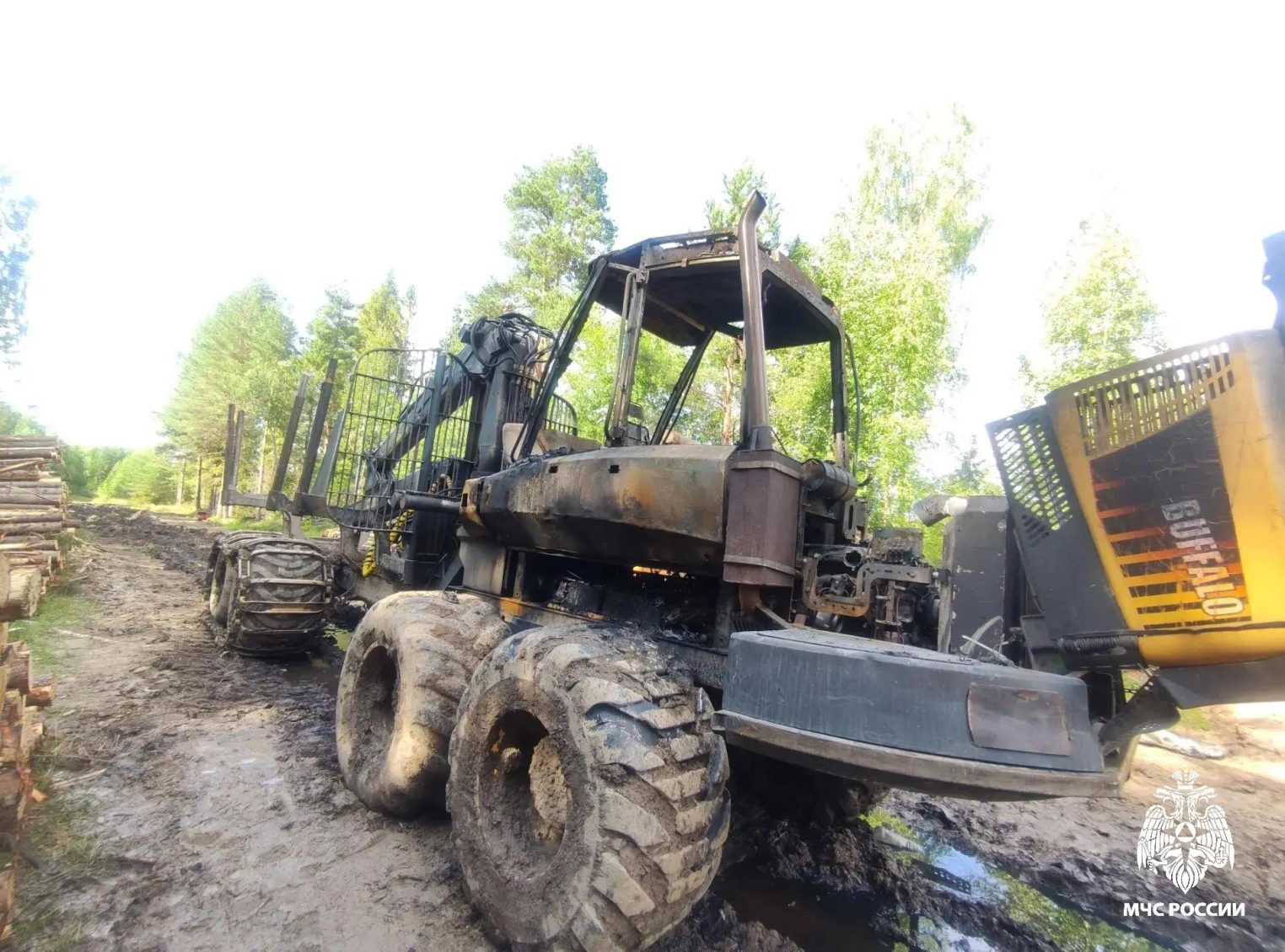 Под Костромой огонь уничтожил спецтехнику, но пощадил лес