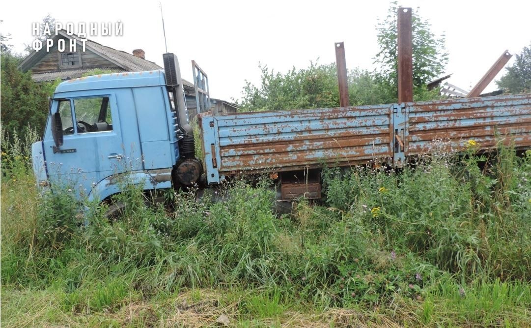 Заброшенные дома в костромской глубинке облюбовали ползучие гады