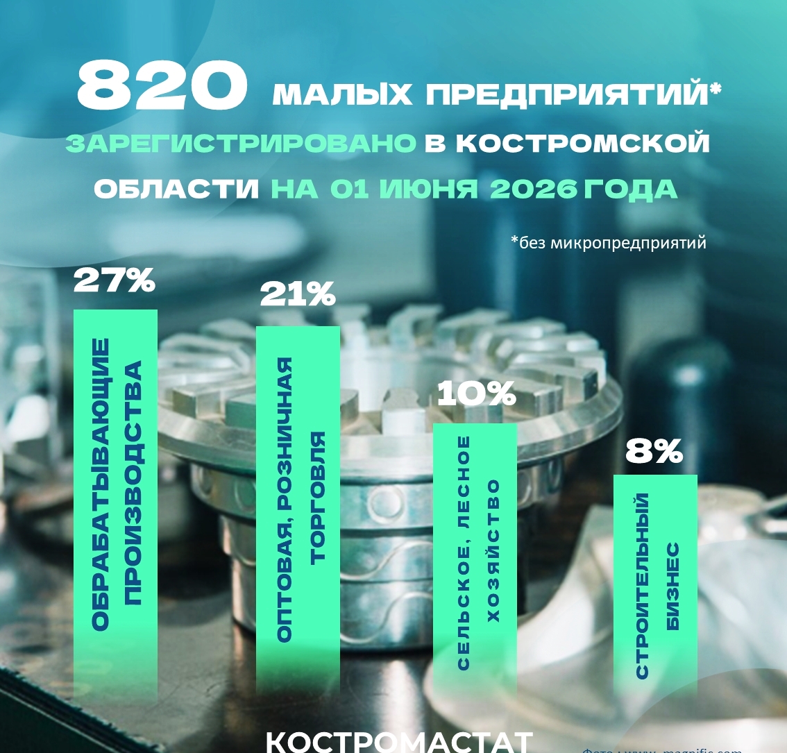 Малый бизнес в Костромской области: сколько компаний, работников и какая зарплата