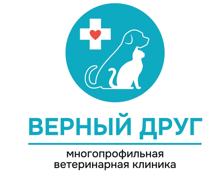 Я люблю Кострому