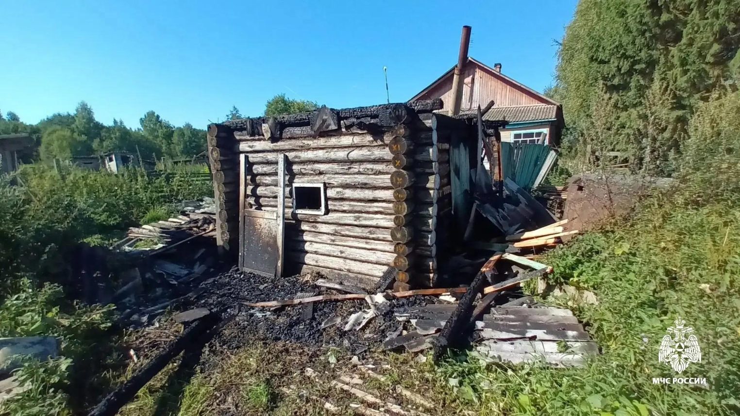 Огонь уничтожил дачный дом и баню в Костромской области