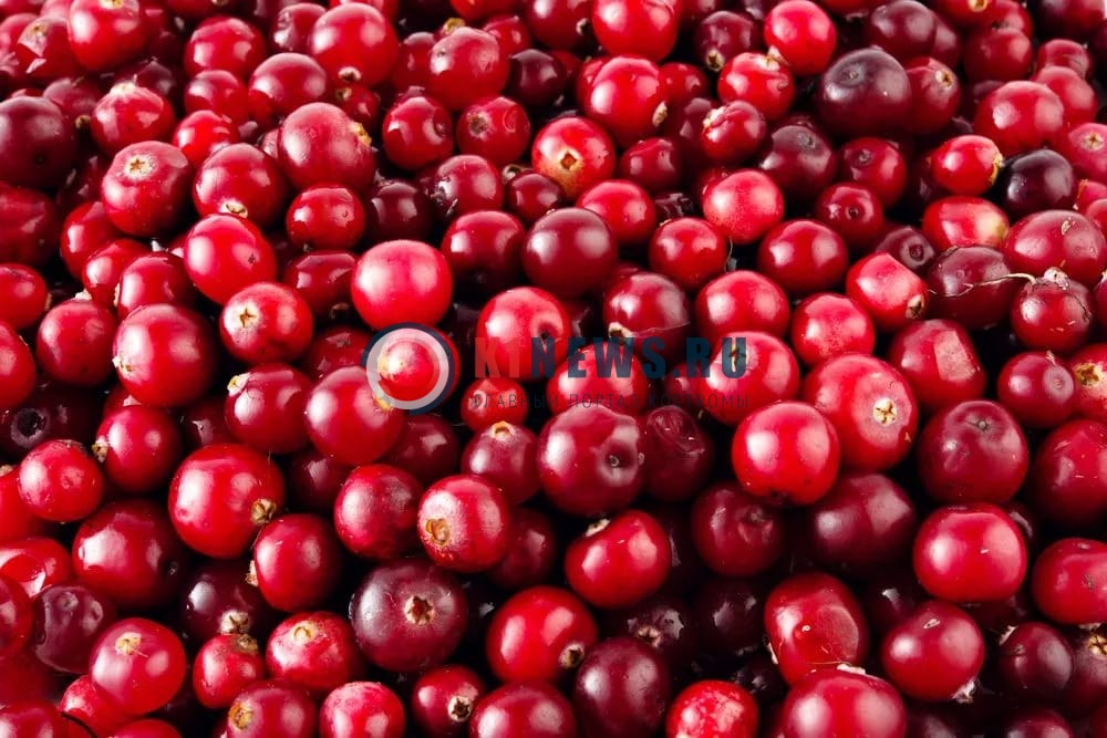 Какие продукты нельзя есть при болезнях сердца: советы кардиолога
