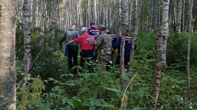 Костромские спасатели рассказали, как выводили из леса заплутавшую старушку