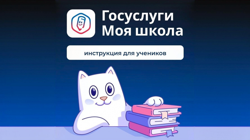 Костромских школьников переводят на новый электронный дневник: что нужно сделать до 1 сентября