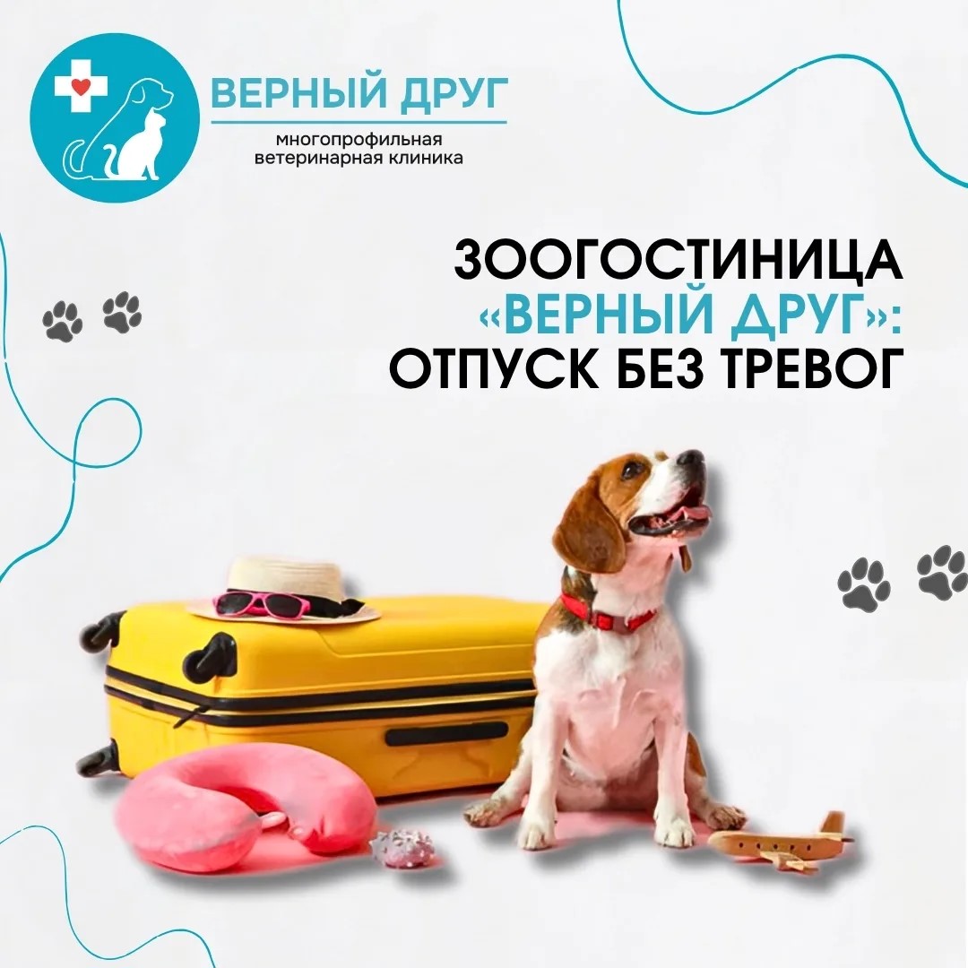 Новый уровень ветеринарной помощи в Костроме