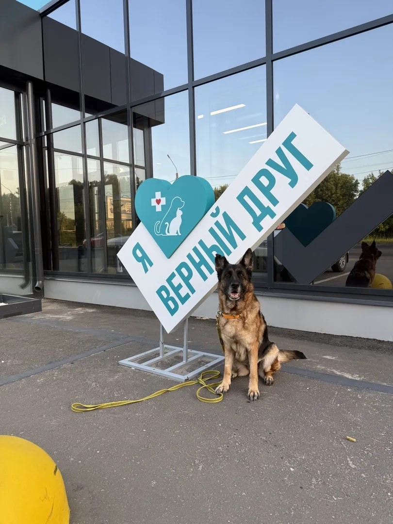 Новый уровень ветеринарной помощи в Костроме
