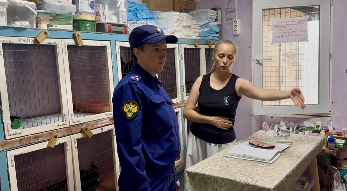 Не кормила, не поила и не лечила: прокуратура раскрыла подробности истории с кошачьим концлагерем в Костроме