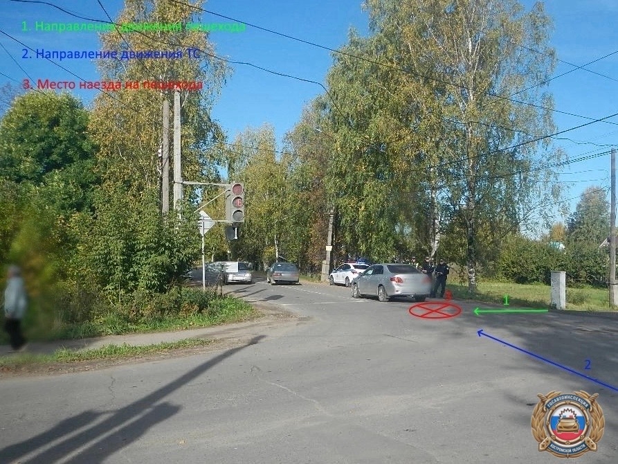 В костромском райцентре иномарка сбила выскочившую на дорогу девушку